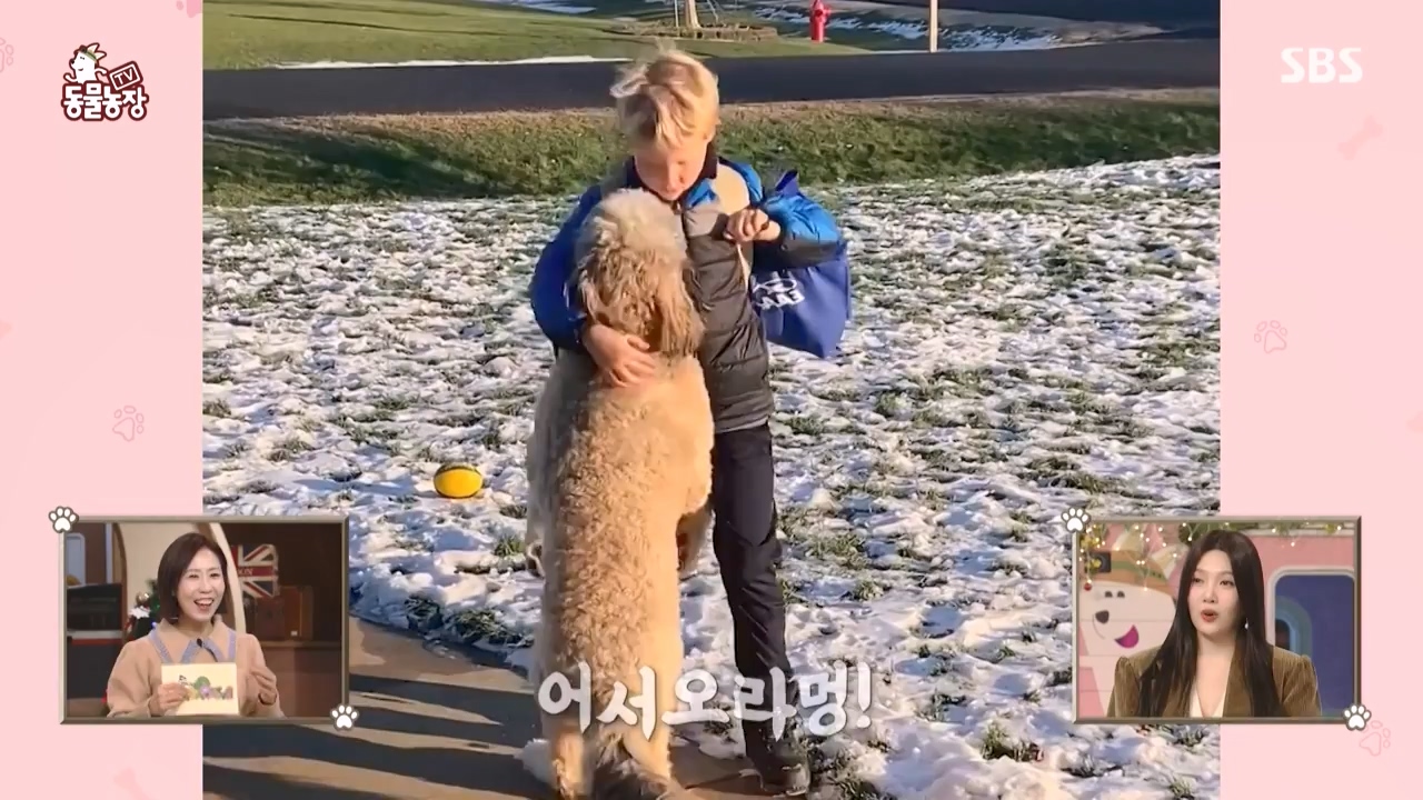 TV 동물농장.E1150.231218p-NEXT.mp4_20231217_171340.528.jpg