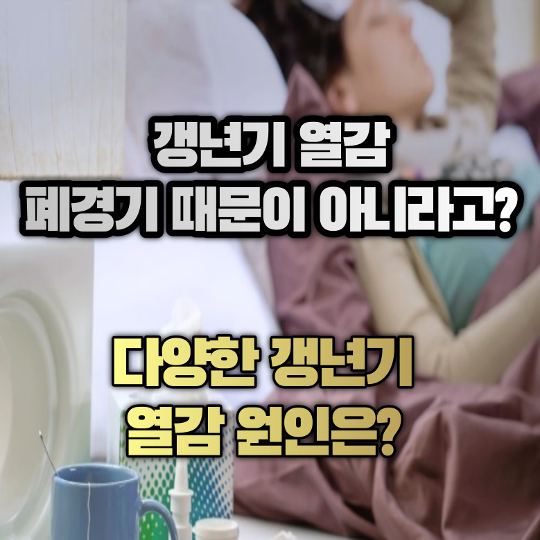 갱년기 열감 폐경기 때문이 아니다?