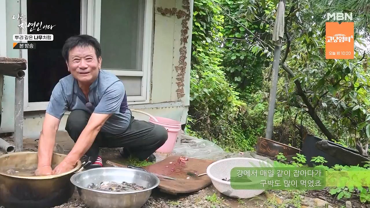 나는 자연인이다.E571.230914p-NEXT.mp4_20230914_202151.279.jpg