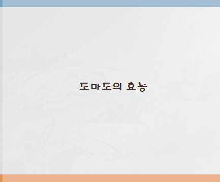  토마토 효능 토마토부작용에 대해 알아볼까요.