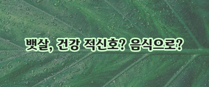 내장지방 빼는 음식 꼭 알아야 합니다!