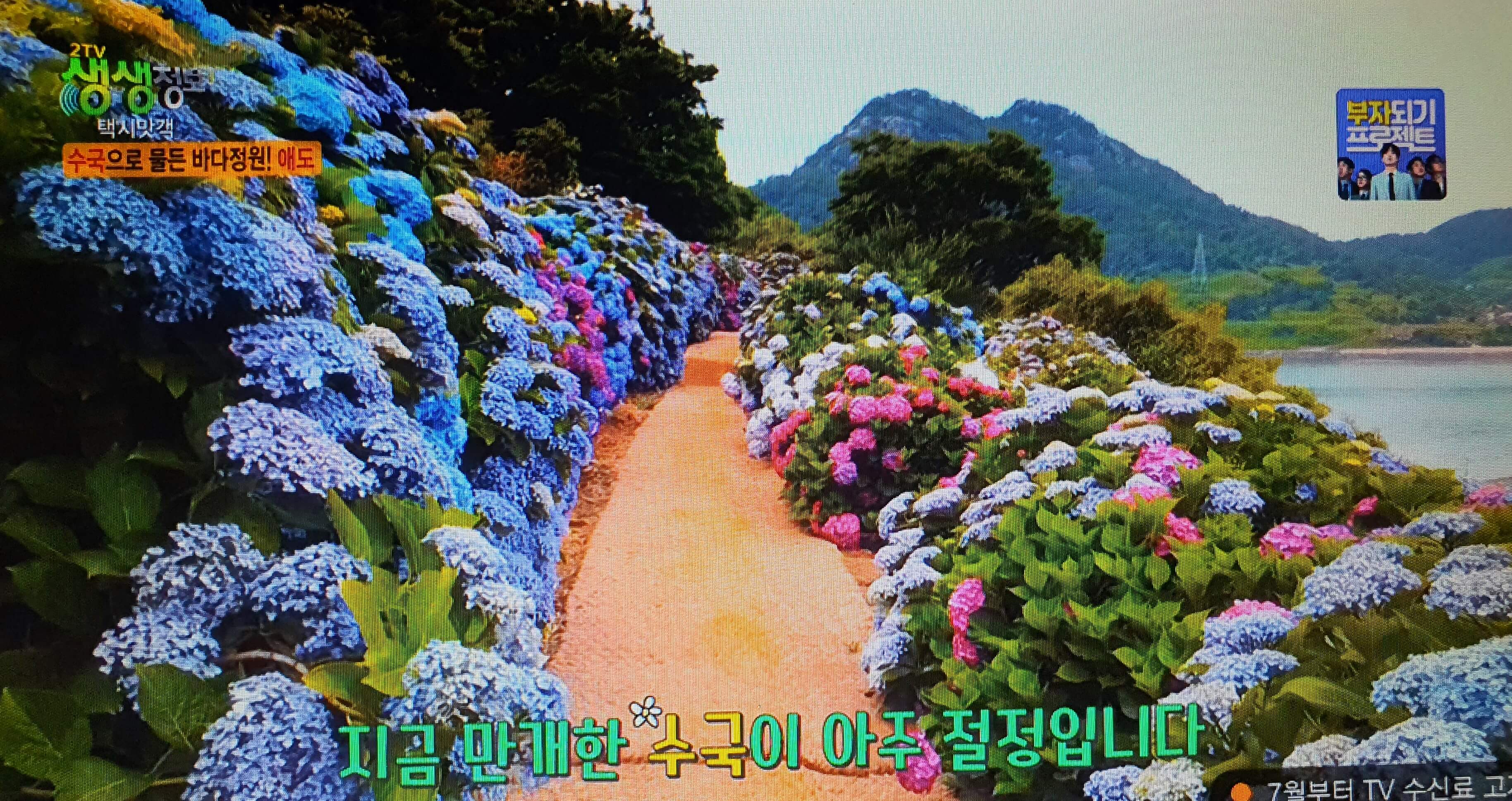 전남 고흥 가볼만한 곳 BEST 3