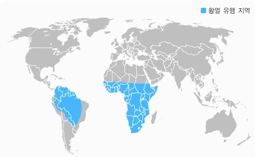 유행지역을 세계지도로 표현했고 파란색으로 칠해져있다