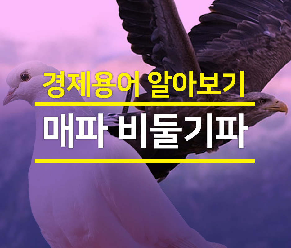  [용어] 매파 비둘기파는 무슨 의미일까?