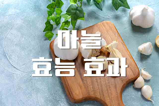  마늘, 알싸한 맛과 향이 주는 효능 효과