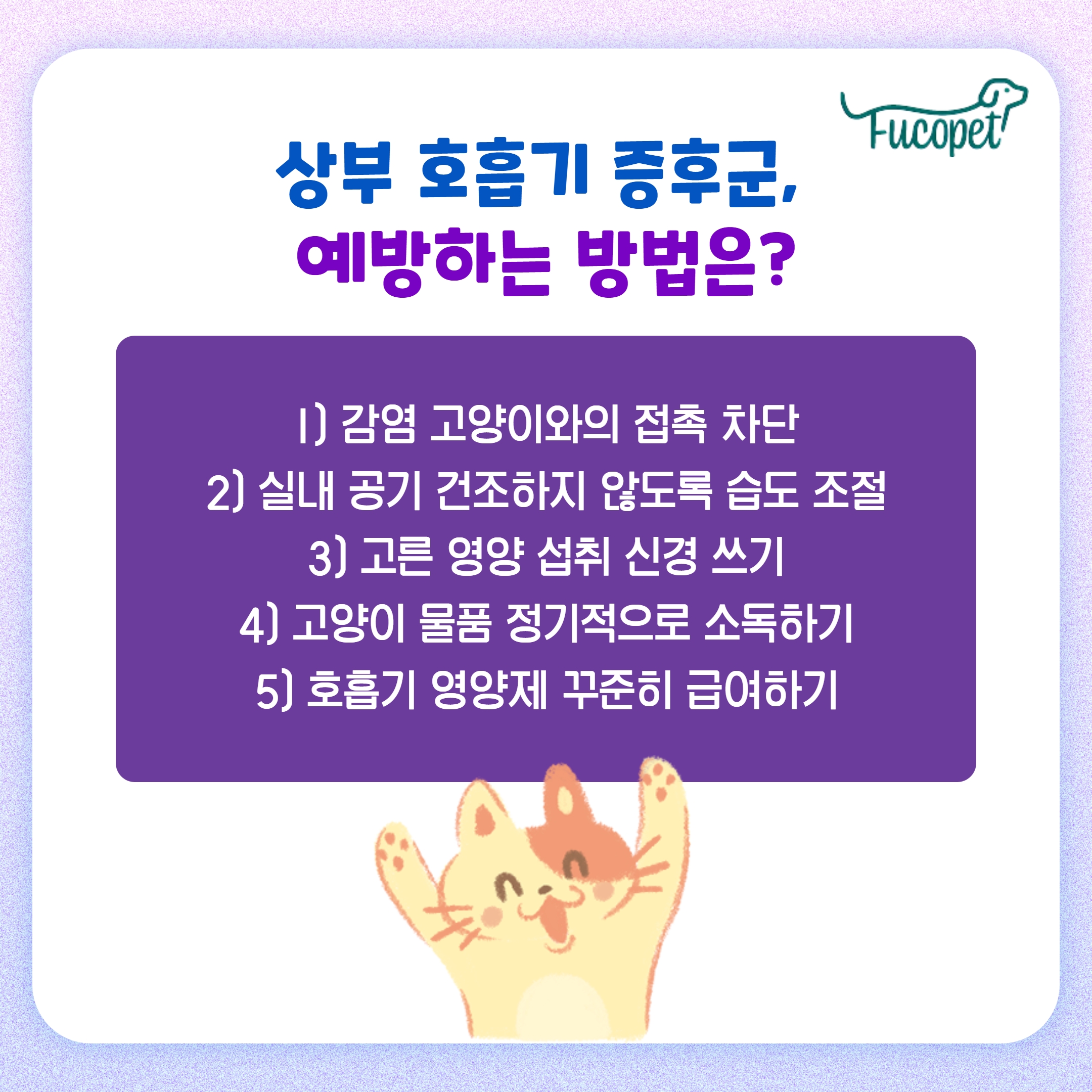 고양이 호흡 보조제/상부 호흡기 증후군/후코이단 푸코펫 5