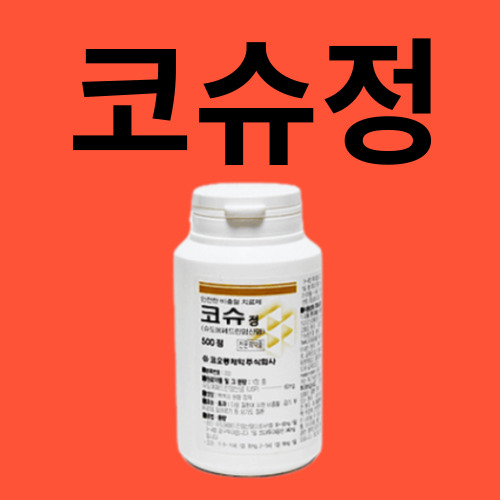 코슈정