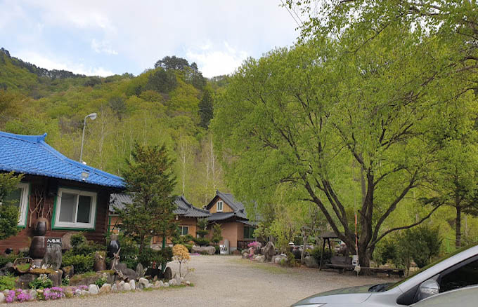강원도 홍천 산채나물 '오대산내고향'