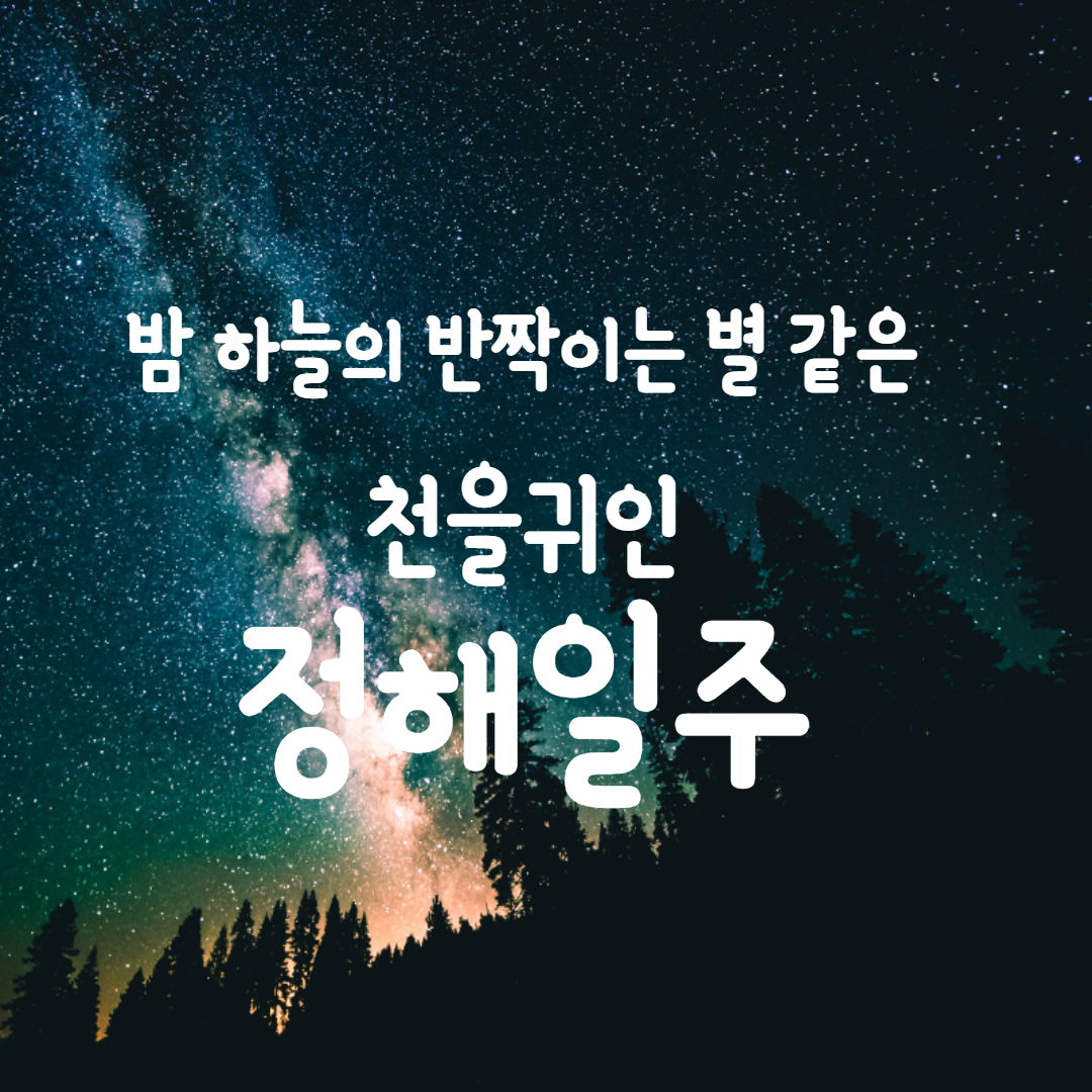  24. 밤 하늘의 반짝이는 별 같은 천을귀인, 정해일주