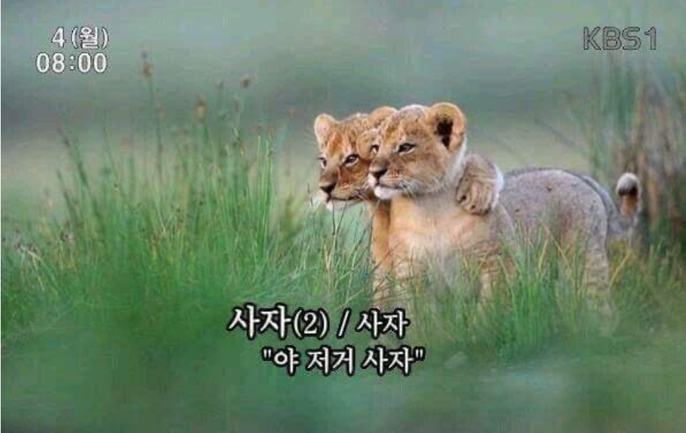  3Q22 주식 월드컵 플레이인 8일차