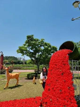 2025 삼척 장미공원 장미축제 일정 주차 볼거리_7
