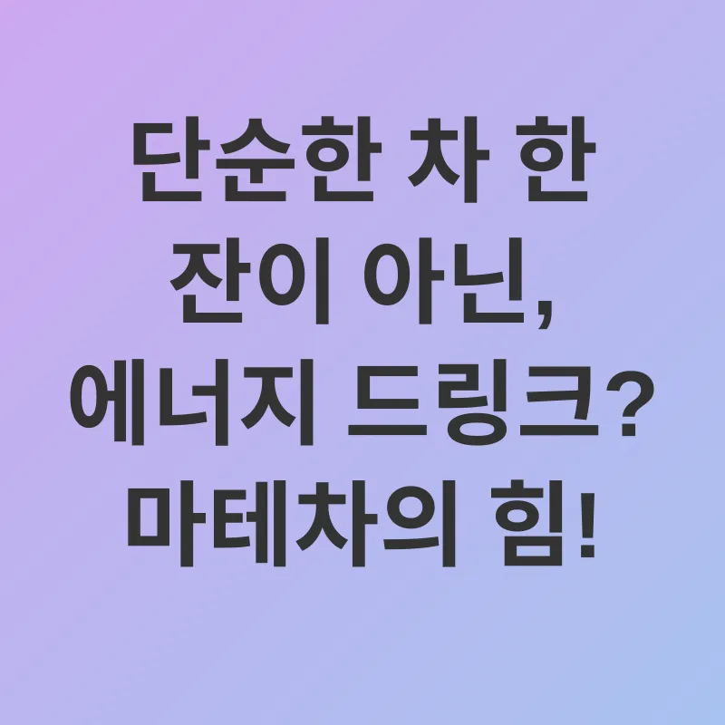 마테차 다이어트_1