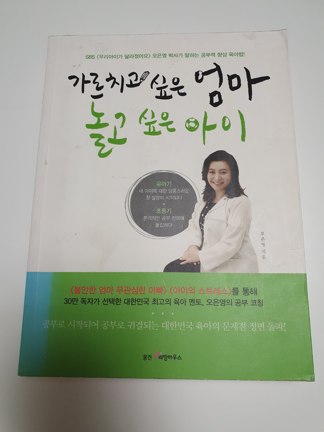  가르치고 싶은 엄마 놀고 싶은 아이 - 오은영