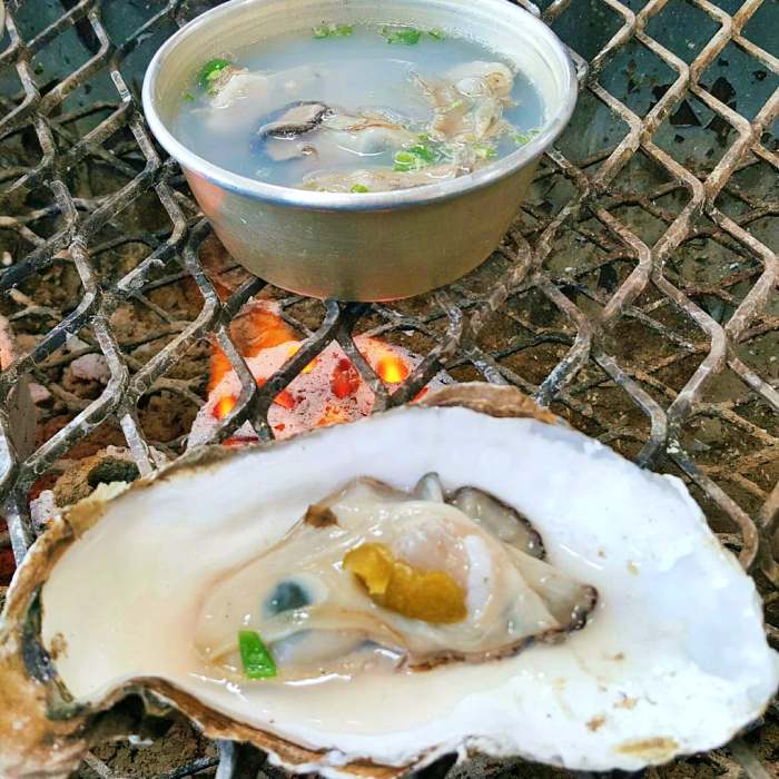 생방송오늘저녁 섬진강 하동 벚굴 구이 강굴 벚굴찜 벚굴전 벚굴죽 재첩국 재첩회무침 맛집 추천