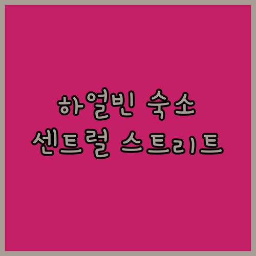 하얼빈 여행 숙소 추천 센트럴 스트리