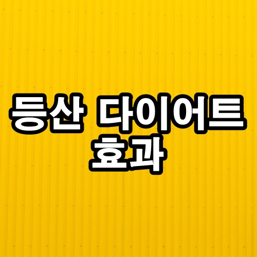  등산 다이어트 효과, 칼로리 소모량