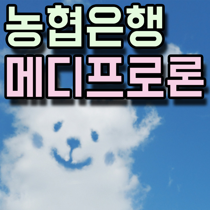  NH농협은행 NH메디프로론 정보 알아보기