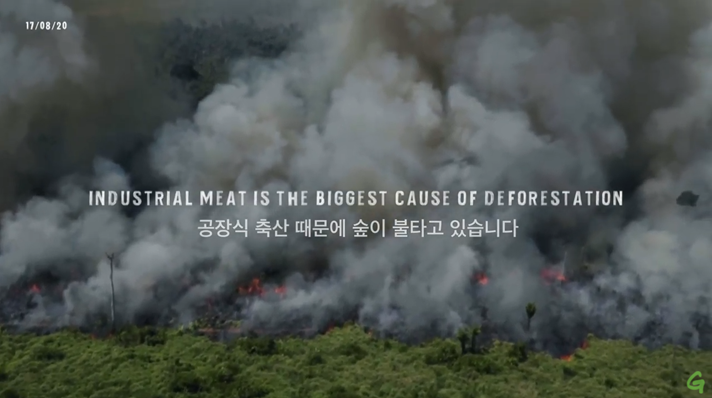  [비건 일기] 6. 뭘 어떻게 설명을 해야 할지 아직도 잘 모르겠다.