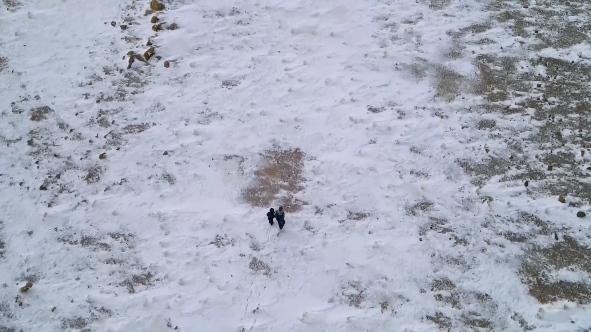 다큐 인사이트.E176.240328p.H264-F1RST.mp4_20240330_162707.455.jpg