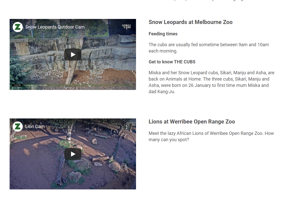 호주-멜버른-동물원-실시간영상-표범-사자-사육장