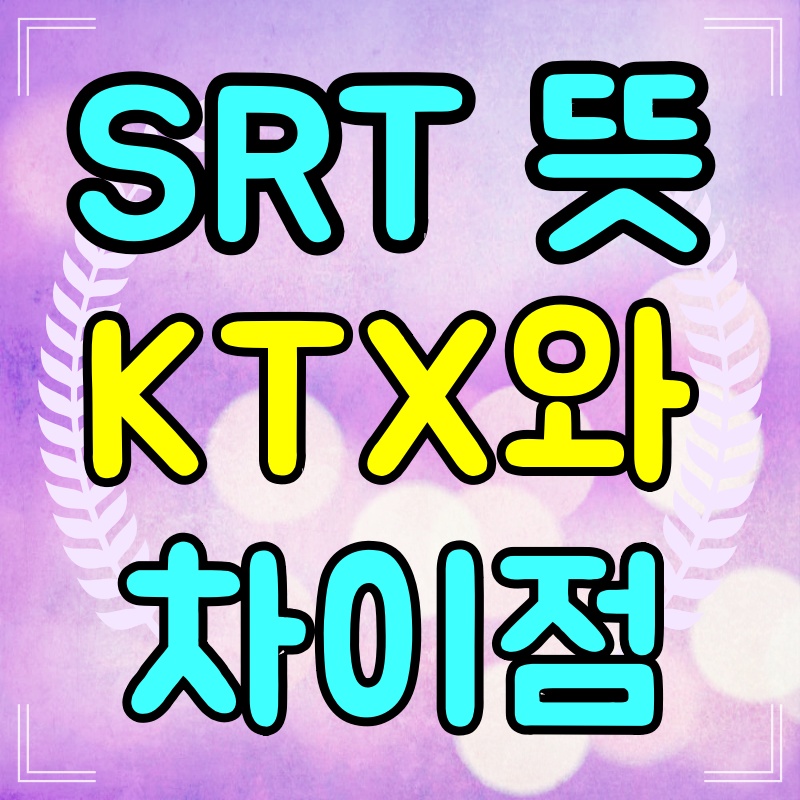 SRT뜻