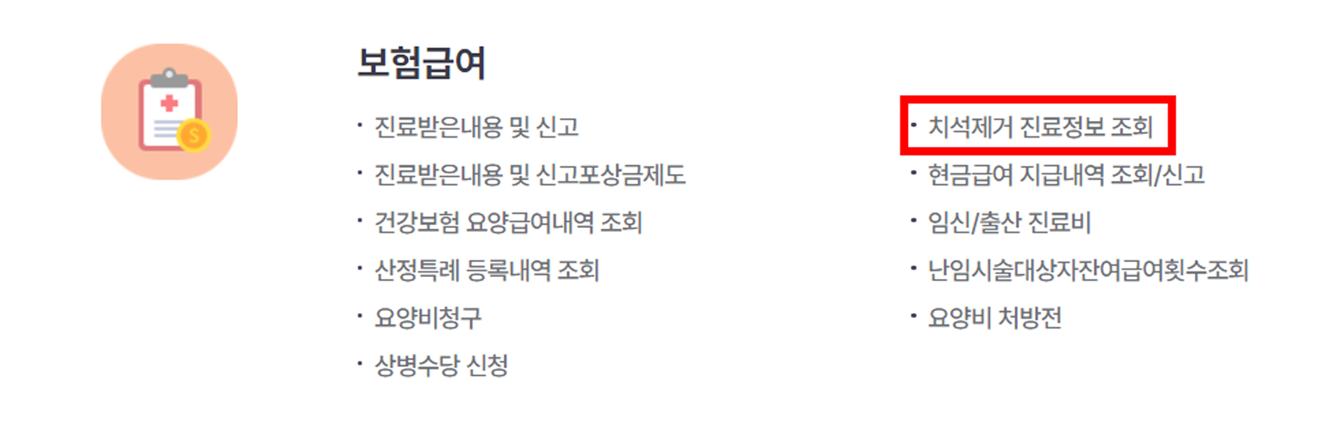 치석제거 진료정보 조회 위치
