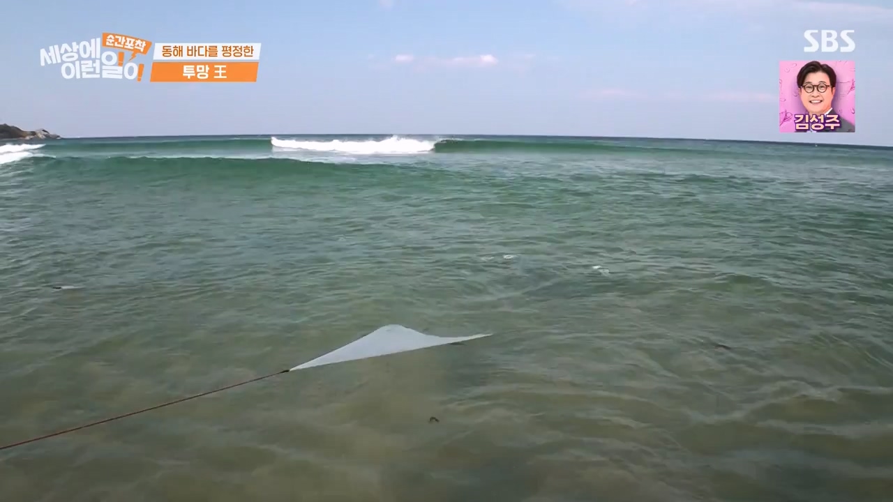 순간포착 세상에 이런일이.E1231.230604p-NEXT.mp4_20230609_202225.532.jpg