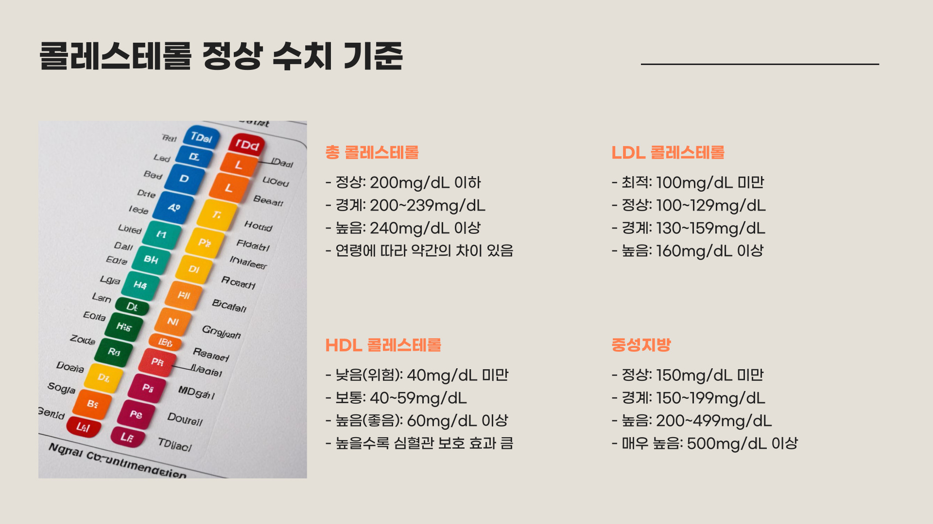 콜레스테롤 정상수치