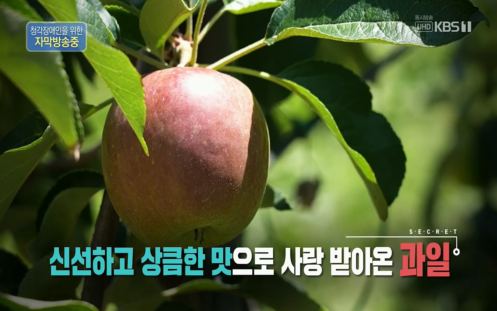 생로병사의 비밀.E829.220803p.H264-F1RST.mp4_20220804_204333.761.jpg