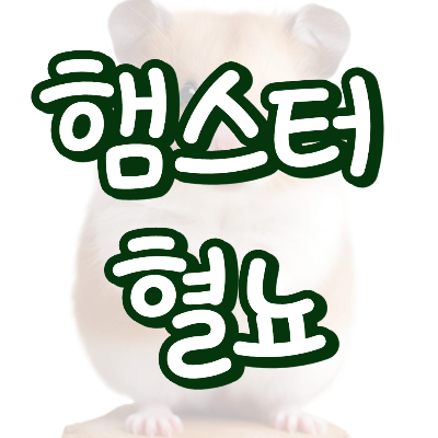 햄스터 혈뇨