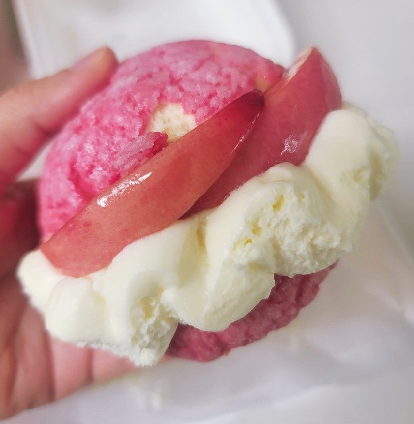 동탄 롯데백화점 디저트 노티드 동탄롯데 동탄 도넛 맛집