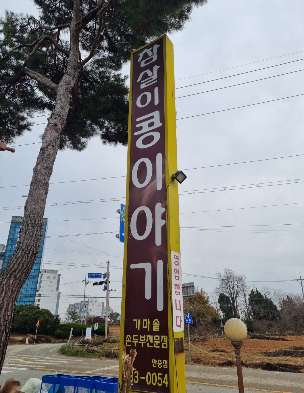 참살이콩이야기 이미지
