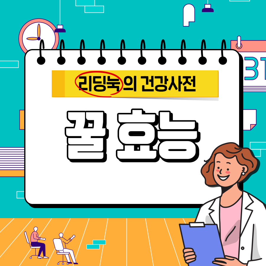 종류도 다양한 꿀! 꿀 효능 3