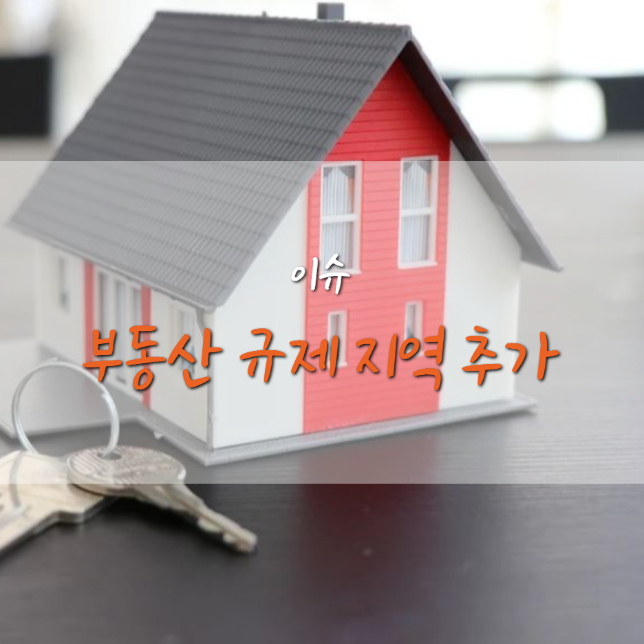  전국 부동산 규제 지역 추가 선정