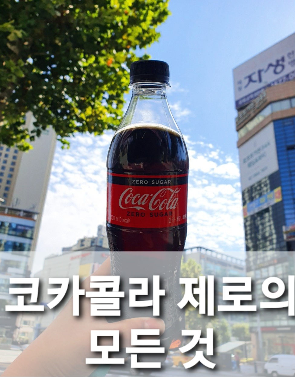  코카콜라 제로를 파헤쳐 보았다