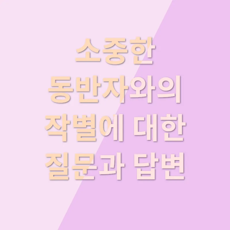 반려동물 장례_4