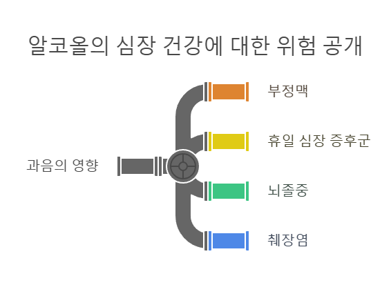 알코올의 심장 건강에 대한 위험 공개