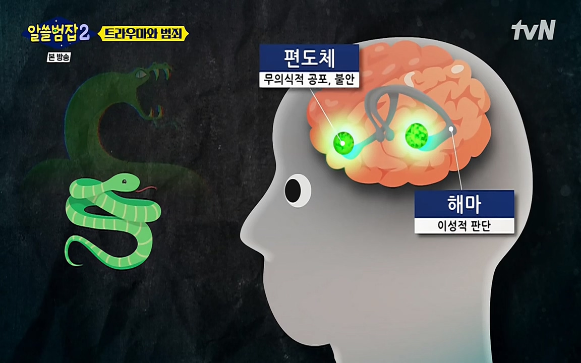 알쓸범잡 2.E11.220321p-NEXT.mp4_20220321_184902.058.jpg