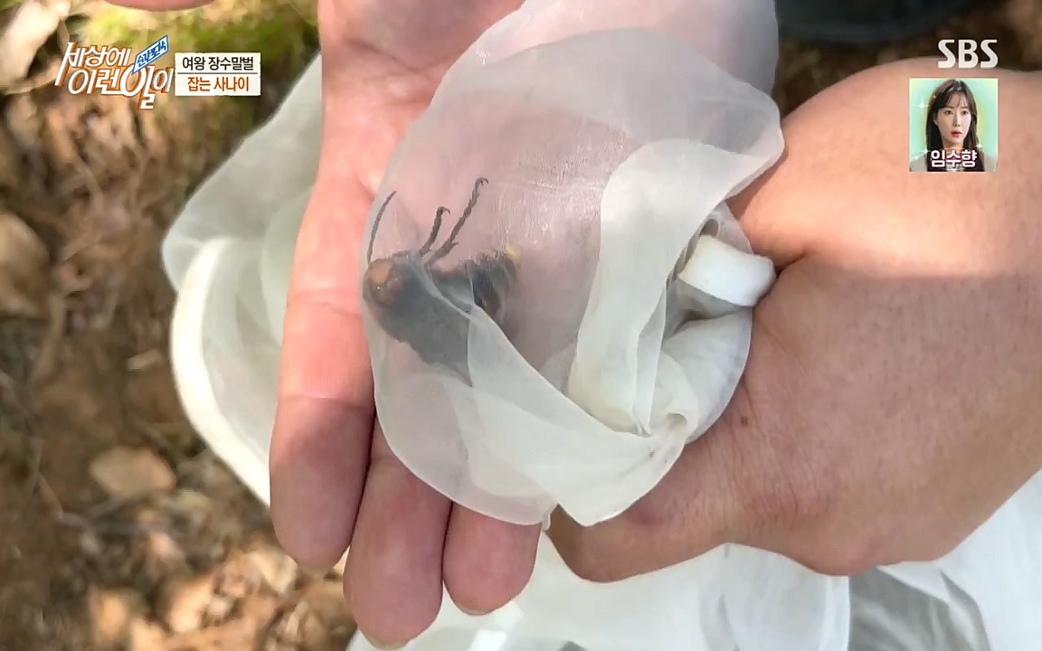 순간포착 세상에 이런일이.E1180.220518p-NEXT.mp4_20220518_181614.509.jpg