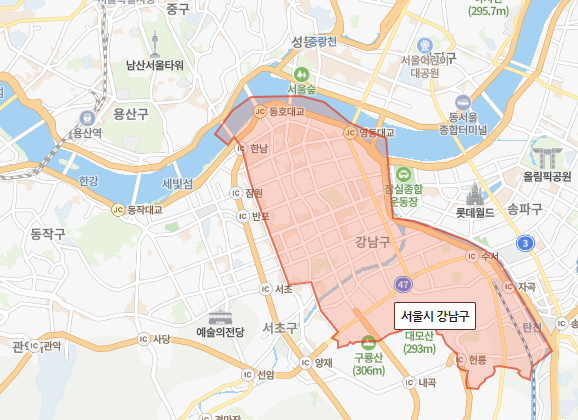 서울 강남구 지도