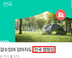 네이버 지도 별별저장소&amp;#44; 갈수있어 강아지도 사용법&amp;#44; 반려견 애견 강아지 동반