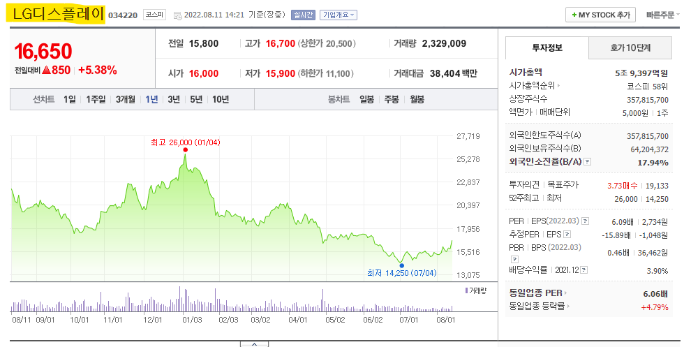 엘지 LG디스플레이 주가 전망 및 기업 분석 목표 배당금 주식 수익률