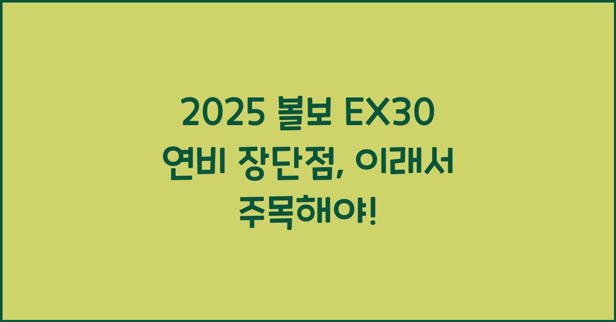 2025 볼보 EX30 연비 장단점