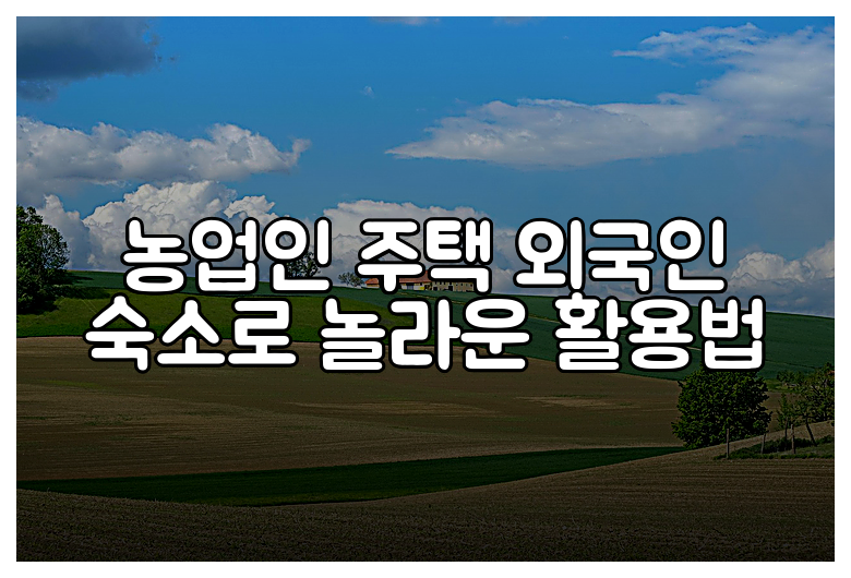 농업인 주택 외국인 숙소로 놀라운 활용법