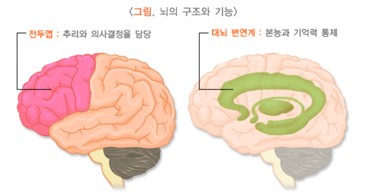 치매 검사 관련 자주 묻는 질문