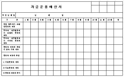  자금운용 예산서 양식