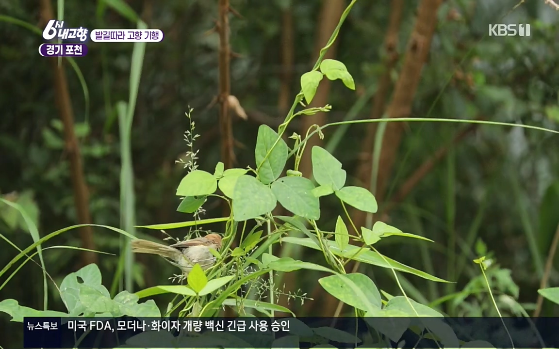 6시 내고향.E7617.220915p.H264-F1RST.mp4_20220916_213106.928.jpg