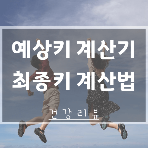 예상키 계산기