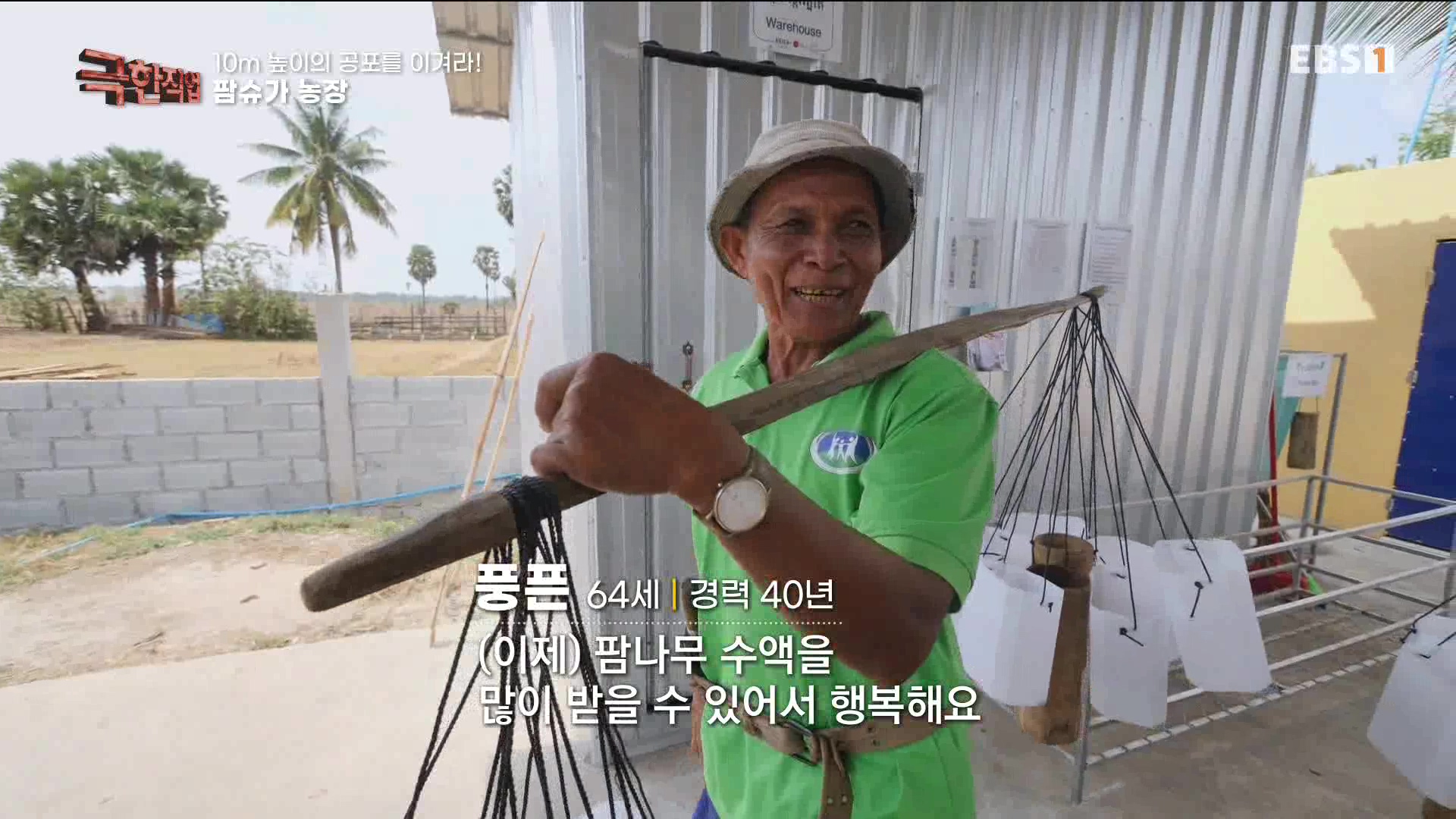 [극한 직업] 캄보디아 팜슈가 농장 230624.mp4_20230701_185221.204.jpg