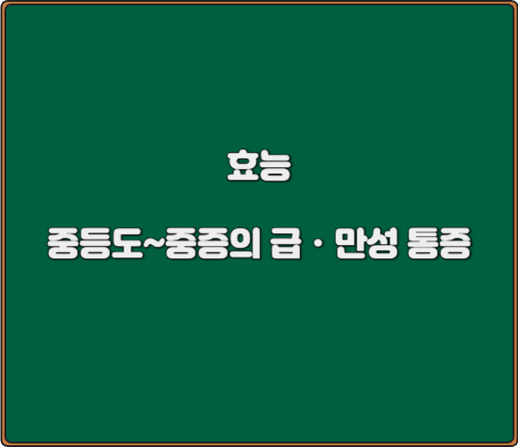 세타마돌정_효능